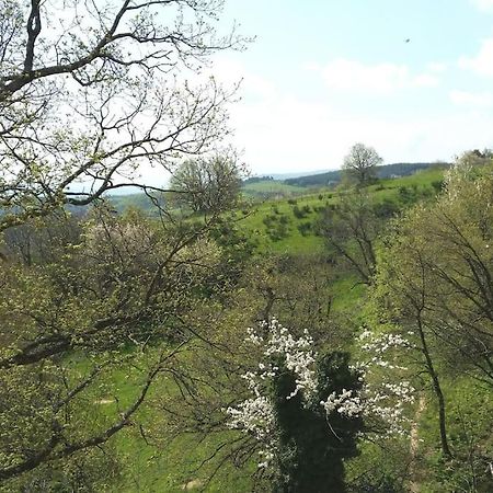 Gite Les Cadichons De La Grange Saint-Péray 외부 사진
