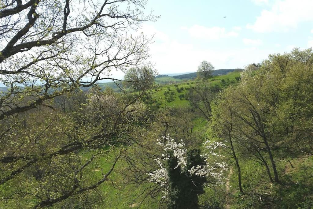 Gite Les Cadichons De La Grange Saint-Péray 외부 사진